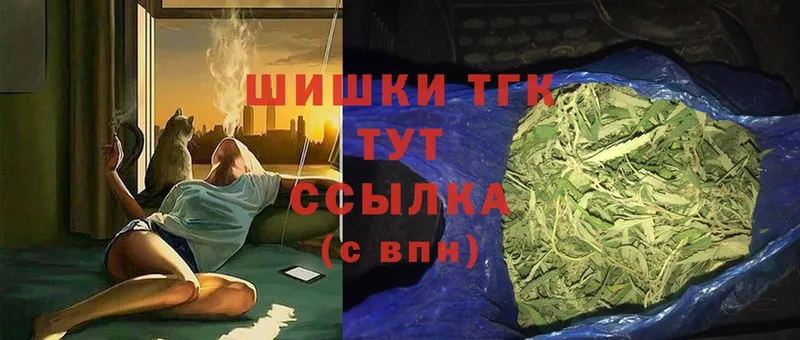 omg вход  Торжок  Бошки Шишки план 